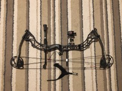 bowtech assasin